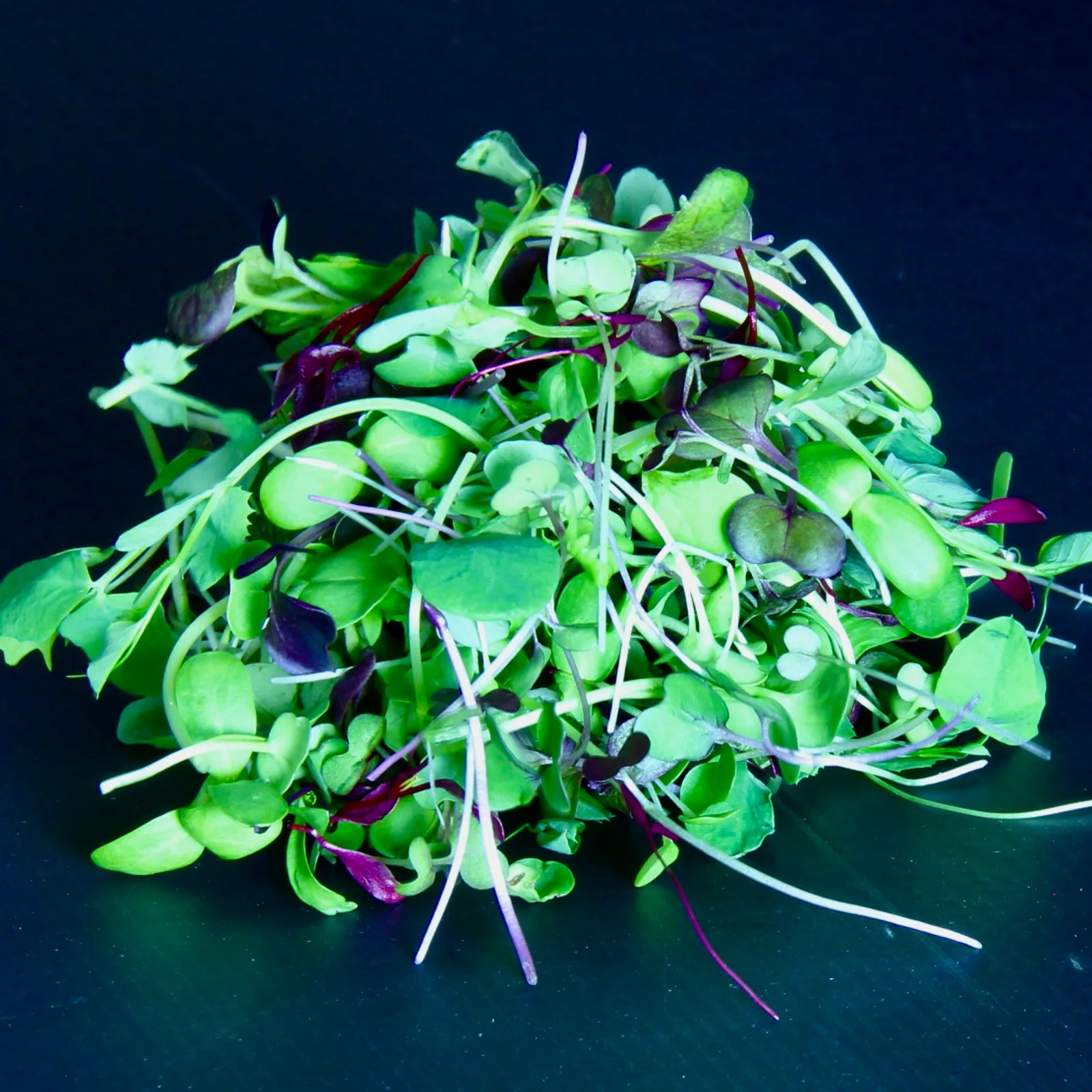 Micromix — Mixed Microgreens Blend retail