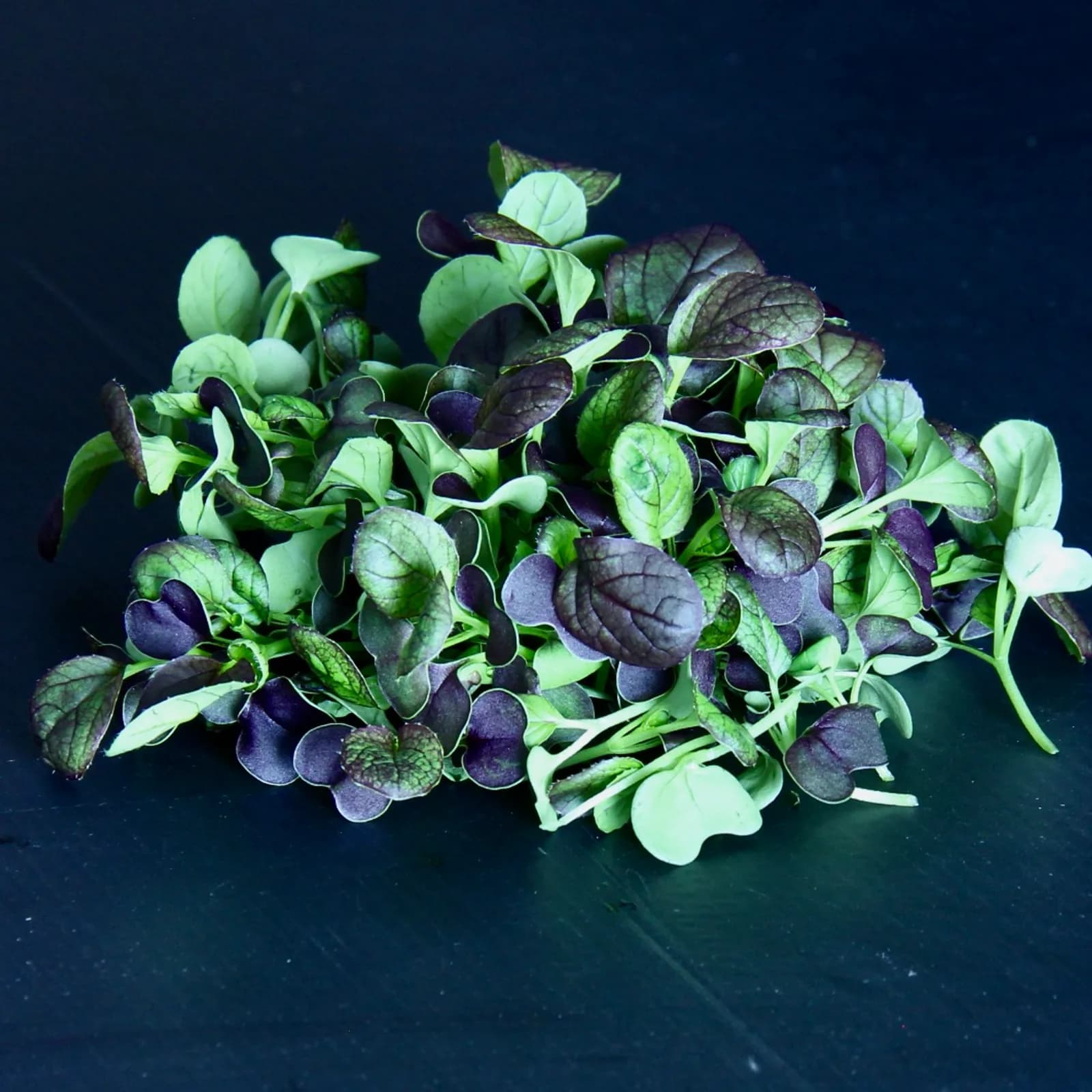 Tatsoi — Brassica rapa subsp. narinosa