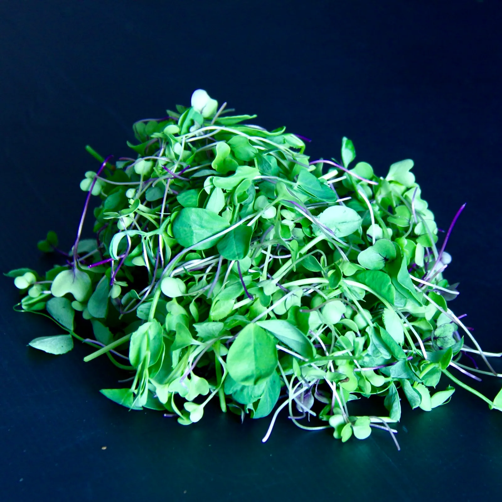 Little Green Bag — Rocket, Pea Shoot, Broccoli & Kale Mix retail