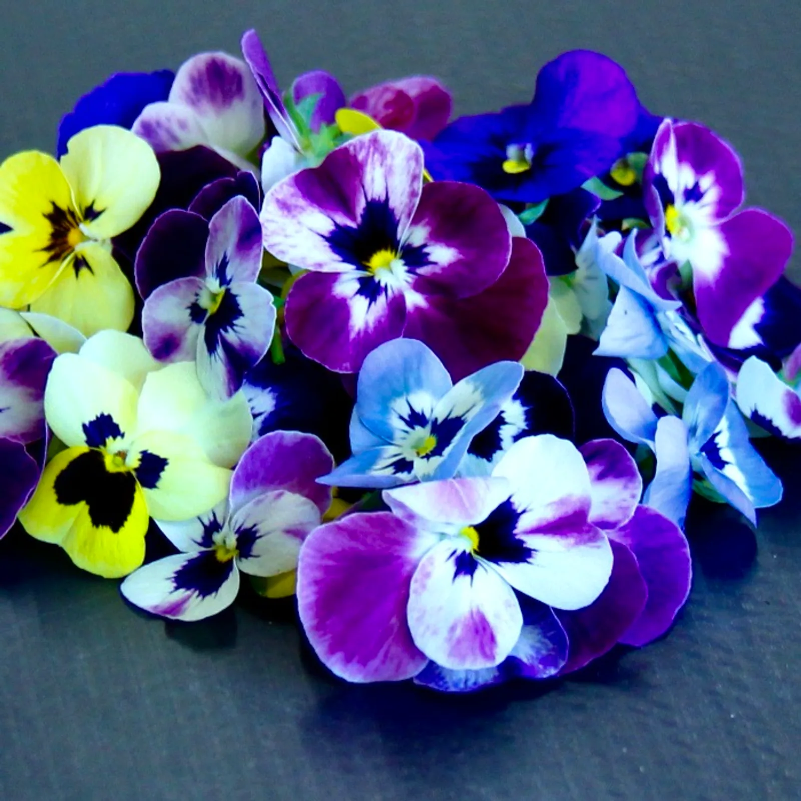 Jump Around — Johnny-jump-ups edible flowers — Viola tricolor